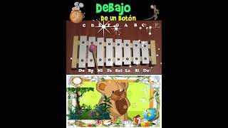 🎶 Canciones en Xilófono  songs on xylophone Tutorial con notas musicales𝄞 [upl. by Ocirred]