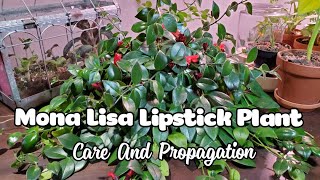 Mona Lisa Lipstick Plant Aeschynanthus Care And Propagation [upl. by Ylliw]