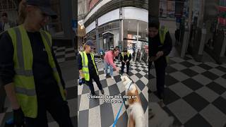 Interactions with my dog doglover husky youtubeshorts shorts instagram viral [upl. by Ioab]