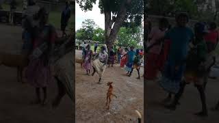 Tiwi Island new years 2019 [upl. by Petey]