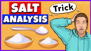 Salt Analysis Class 12 Practical [upl. by Eniamrehs]