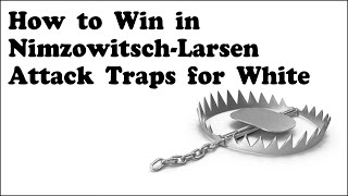 Mastering NimzowitschLarsen Attack Top Traps for Whites Victory [upl. by Eylhsa224]