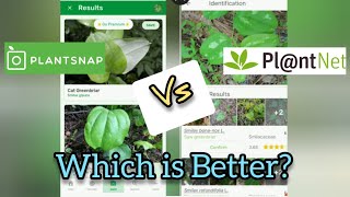 PlantSnap vs PlantNet Which is Better  Anns Tiny Life [upl. by Atoel]