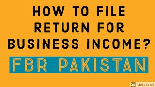 How to File Return for Business Income FBR IRIS Latest [upl. by Atteynad561]