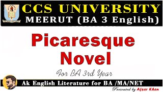 Picaresque novel  Picaresque novel Explain In Hindi  Picaresque novel In English Literature [upl. by Aiasi393]