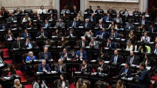 LEY DE BASES Con apoyo de la oposición dialoguista se aprobó en Diputados la ley en general [upl. by Eessac]