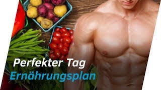 ERNÄHRUNGSPLAN ERSTELLEN MealTiming amp Trennkost für schnelle Erfolge  Andiletics [upl. by Elleunamme]