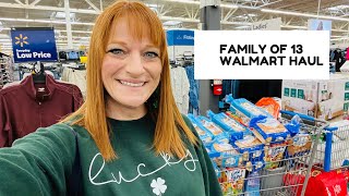 FAMILY OF 13 WALMART HAUL [upl. by Romano]