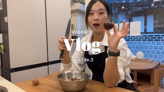 서촌 자영업자 vlog 도라지 세척 테스트 중 보늬밤 자영업자 삶 신나게 마무리 [upl. by Rowley]