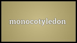 Monocotyledon Meaning [upl. by Ajar]