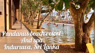 Pandanus Beach Resort amp Spa  Induruwa Sri Lanka I 4 star I Lavish Luxury Resort by the sea 🏖🏝 [upl. by Ihsakat]