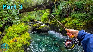 Fly Fishing some INSANE tiny creeks Trout Fishing Washington [upl. by Bland]