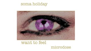 Soma Holiday  Want to Feel [upl. by Stafford]