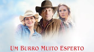 Um Burro Muito Esperto 2013  Filme Completo  Kevin Sorbo  Kristy Swanson [upl. by Kirad]