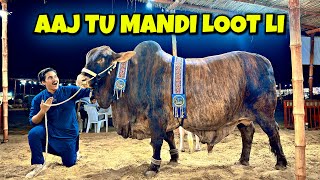 Aaj Mandi Loot Li 😍  Naseeb Ka Soda Hogaya  Cow Mandi Vlog  Janwar Pasand Agaya  Bakra Eid [upl. by Ardnuhs]