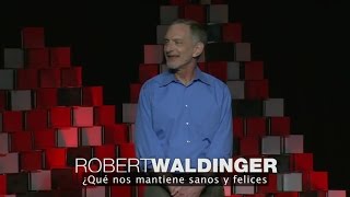 RobertWaldinger  ¿Qué hace a una buena vida Lecciones del estudio más largo sobre la felicidad [upl. by Yelkao675]