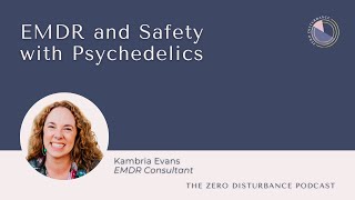 EMDR and Safety with Psychedelics Dumb Things Therapists Say Series [upl. by Guenevere]