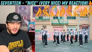 SEVENTEEN  quotNICE VERY NICEquot MV Reaction [upl. by Llibyc130]