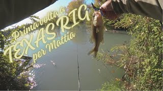 BASS FISHING  Pusiano e Tobiere del Sebino  Novembre 2024  Bella cattura a TEXAS RIG per Mattia [upl. by Yasdnil736]