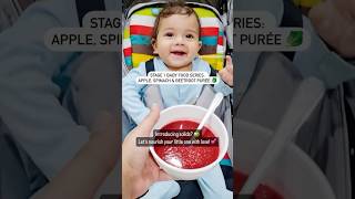 69 month baby food🥬🍎 babyfood recipevideo trending babyvideos babyfoodrecipe babyledweaning [upl. by Htebazileyram]