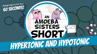 Hypertonic and Hypotonic  Amoeba Sisters Shorts [upl. by Joell]