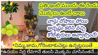 వాస్తుదోషాలుపోగొట్టిఇంటికిఅదృష్టాన్నితెచ్చే మొక్కలుమరియుకష్టాలనుతెచ్చేమొక్కలుఏమిటో తెలుసుకుందాం [upl. by Ahsimac]