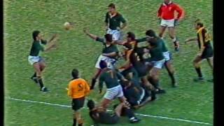 Four 1986 Springbok Tries [upl. by Trebo155]