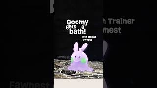 Goomy gets a bath Pokemon in Real Life [upl. by Aleda536]