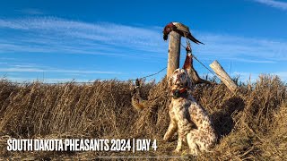 Day 4 A Last DITCH Effort Produces Another Limit In South Dakota [upl. by O'Conner175]