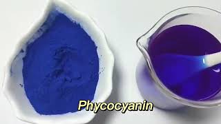 Phycocyanin [upl. by Llenroc]