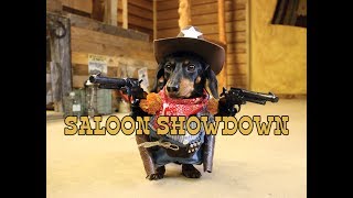 Crusoe the Cowboy Dachshund Saloon Showdown [upl. by Yttig]