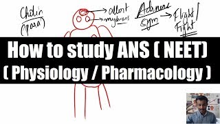 How to Study Autonomic Nervous System  ANS  Physiology  Pharmacology  NEET PG [upl. by Siuraj]