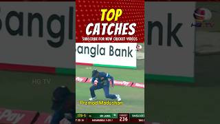 ඔබ කැමතිම පන්දු රකින්නා  🤯  TOP CATCHES  Sri Lanka cricket [upl. by Reeba]