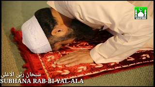 3 Rakat Witr Namaz ka Tarika practical [upl. by Tristam135]