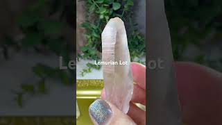 Lemurians from Diamantina 24 pcs542g tw 50 crystals minerals quartz crystalshop lemurians [upl. by Toor522]