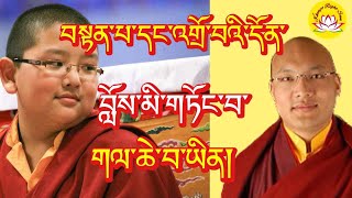 HH karmapa talking about HE Jangon Rinpoche rumtekkarmaekhenpo rinpoche jamgon kongtrul [upl. by Nimaynib]