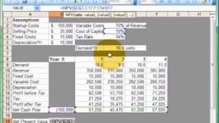 NPV Simulation [upl. by Amerigo]