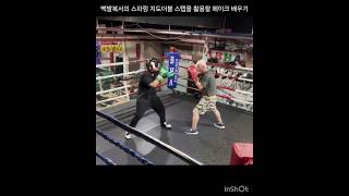 백발복서의 스파링 지도 더블 스텝을 활용할 페이크 배우기 복싱 백발복서 스파링 boxer 복싱시합 mma ufc 정통복싱 복싱선수육성 리듬복싱 미국 한국복싱 [upl. by Franciscka]