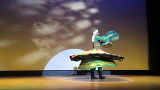 Mohamed Ghareb Tanoura Dance Show [upl. by Inge]