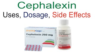 Cephalexin Cefalexin Uses Dose and Side Effects [upl. by Uyekawa]