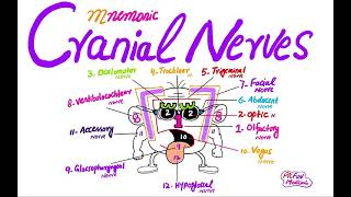 Cranial Nerves easy mnemonic for plab Usmle [upl. by Studnia]