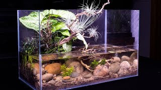 DIY Pond Themed Nano Riparium [upl. by Gautea]