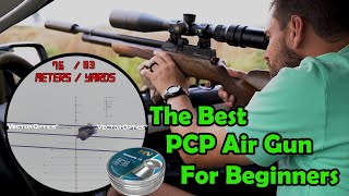 The Best PCP Air Gun For Beginners Daystste Huntsman Review  Air Gun Hunting [upl. by Eileme]