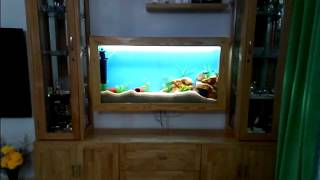 4 feet wall mounted fish tank [upl. by Halimaj]