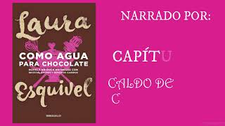 COMO AGUA PARA CHOCOLATEAUDIOLIBRO CAPÍTULO 7 CALDO DE COLITA DE RES [upl. by Garrison706]