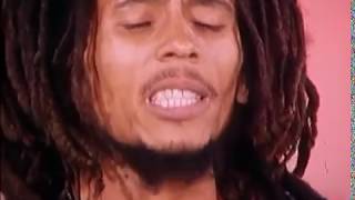 Bob Marley  Positive Vibration Live at TopPop TV Netherlands 1976 [upl. by Iasi]