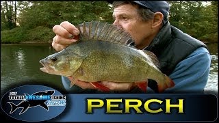 GIANT RIVER PERCH Fishing with Graeme Pullen Series 1  Episode 14  TAFishing [upl. by Anitsyrk]