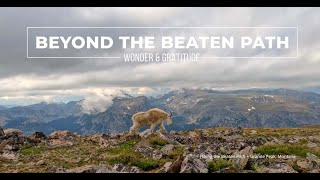 Beyond the Beaten Path Wonder amp Gratitude  Hiking Montanas AbsarokaBeartooth Wilderness [upl. by Trebbor340]