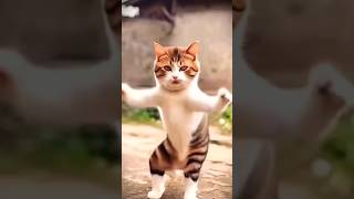 be korbo be korbo moner khusite youtube viralvideo cat funny short song [upl. by Ynnam]