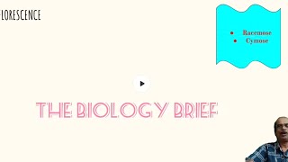 UNDERSTAND INFLORESCENCE IN JUST 10 MINUTES sureshb9256 biology morphologyoffloweringplants [upl. by Hyrup]